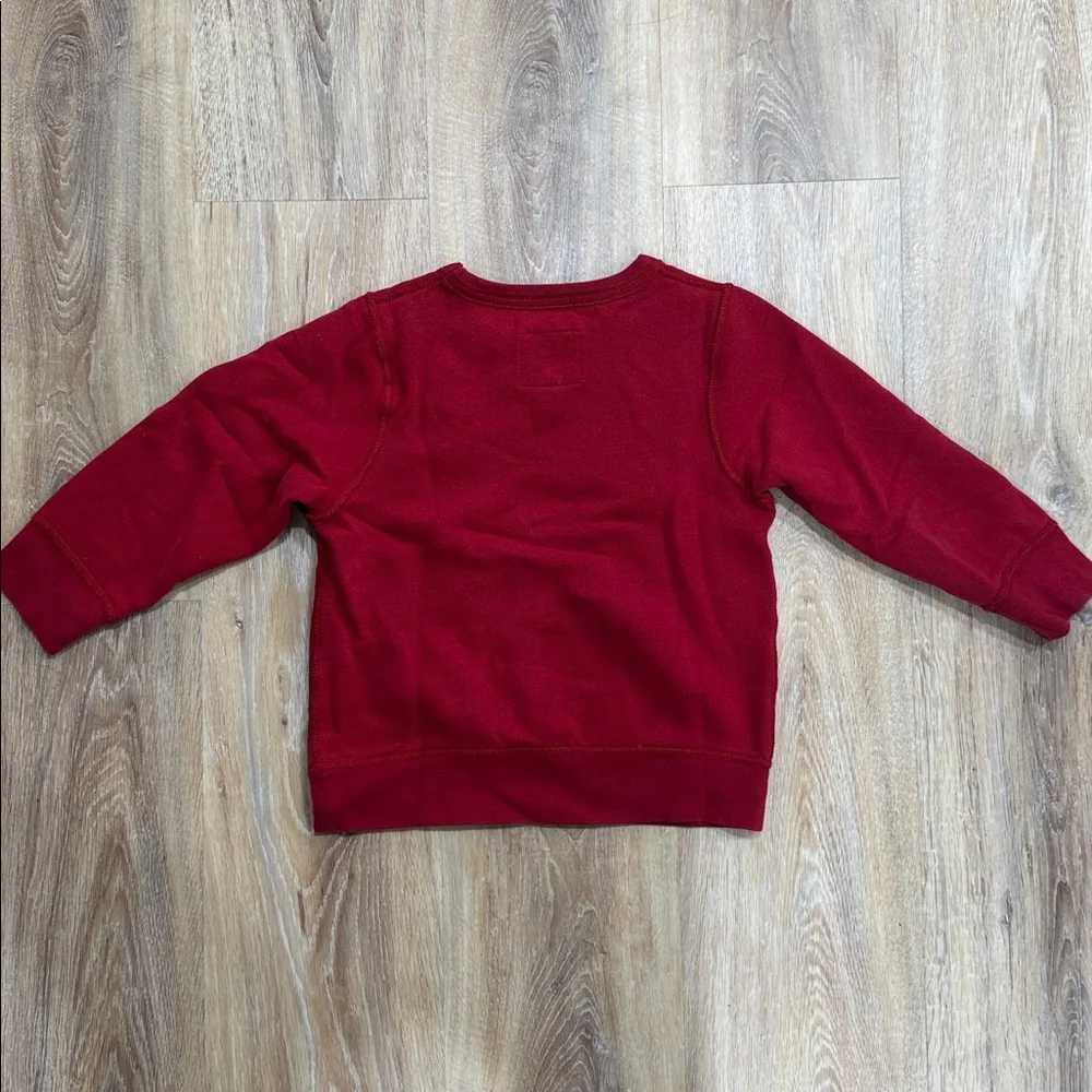 The Children's Place Red All Sport University Team Sweater
